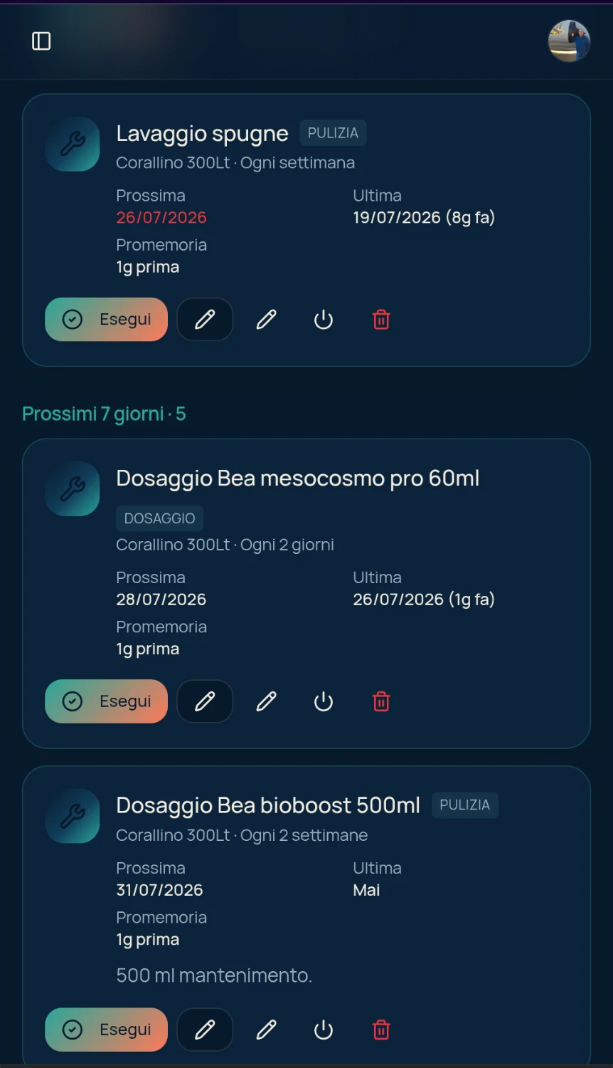 Timeline